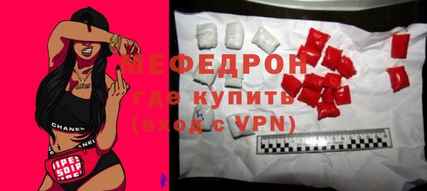 шишки Няндома