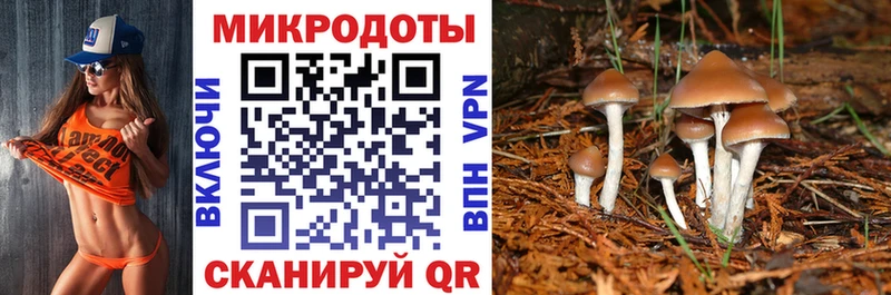 даркнет сайт Черняховск Псилоцибиновые грибы MAGIC MUSHROOMS