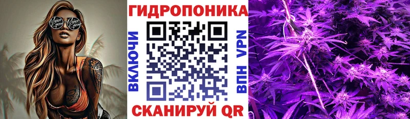 МАРИХУАНА гибрид  Черняховск 